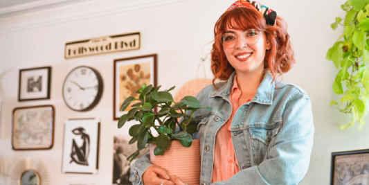 How the VerdantGlow S-Shaped Plant Shelf Became My Favorite Corner at Home