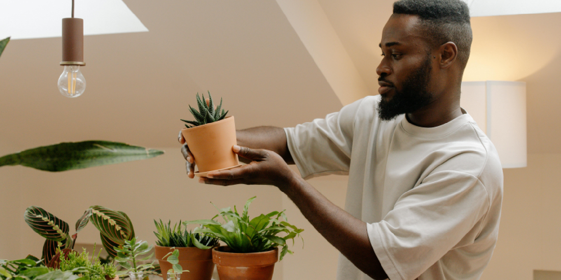 How to Create a Cozy Indoor Garden at Home