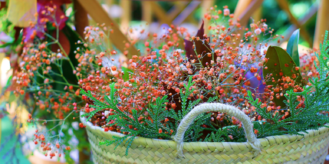 How to Create a Cozy Plant Nook