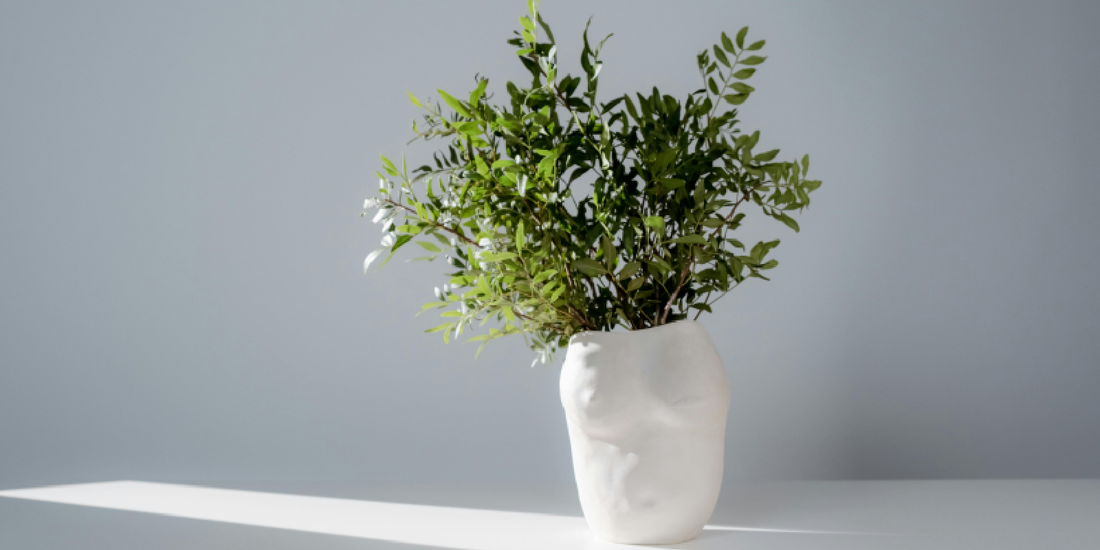 How to Help Your Indoor Plants Grow Naturally with White LED Grow Lights