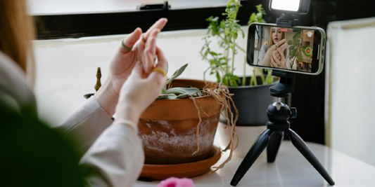 How to Maintain and Use Grow Lights for Healthier Indoor Plants