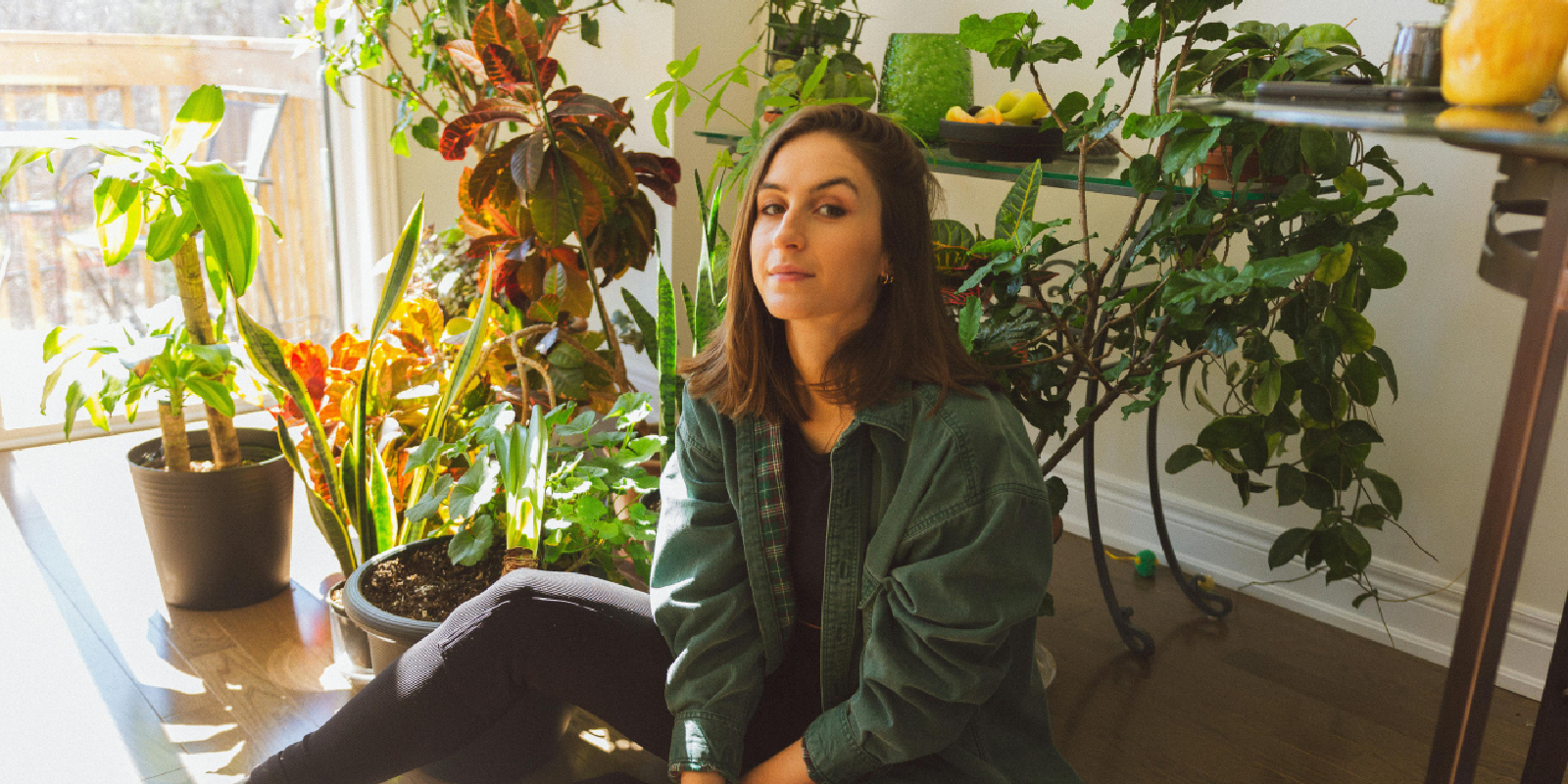 How to Maximize Small Plant Growth on Each Tier – amoyls