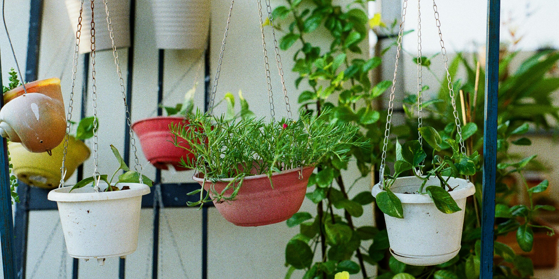 Indoor Plant Corner Ideas for Small Apartments: Smart Ways to Add Greenery Without Taking Up Space