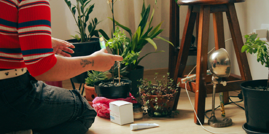 Real-Life Test: What It’s Like Living With the VerdantGlow S-Shaped 8-Tier Plant Shelf