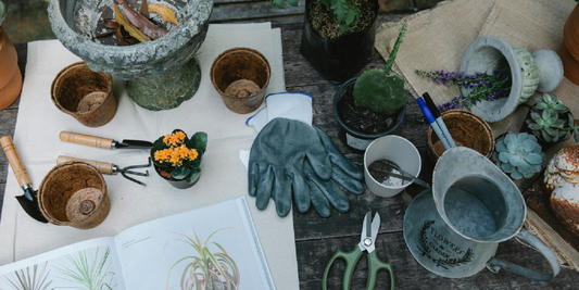 Redefining Home Décor