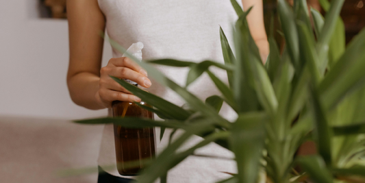 The Beauty of Growing Plants Under Natural White Light