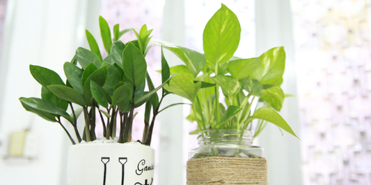 The Gift That Grows With Them