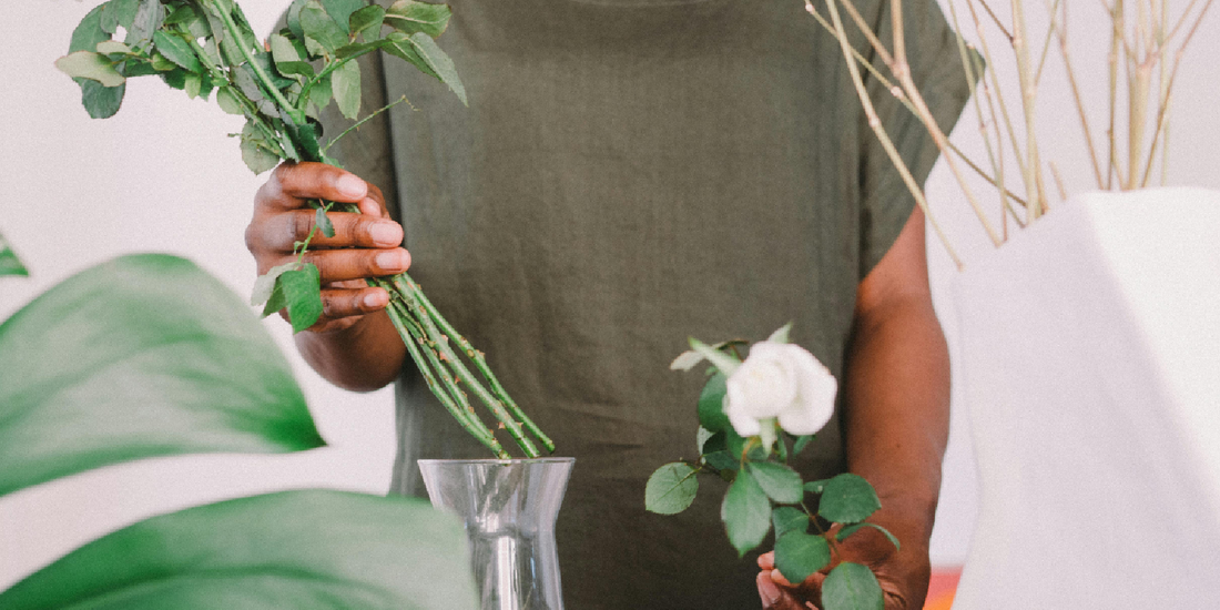 The Perfect Plant Shelf for Apartment Living: A Smart Gift for Urban Plant Lovers