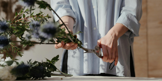 The Plants, the Pets, and the Glow — A Pet-Friendly Home Story