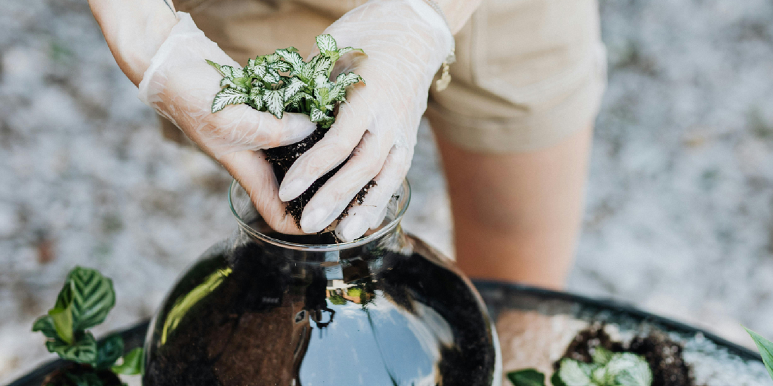 Top Home Decor Colors That Pair with Plants