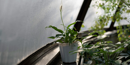 Transform Your Space