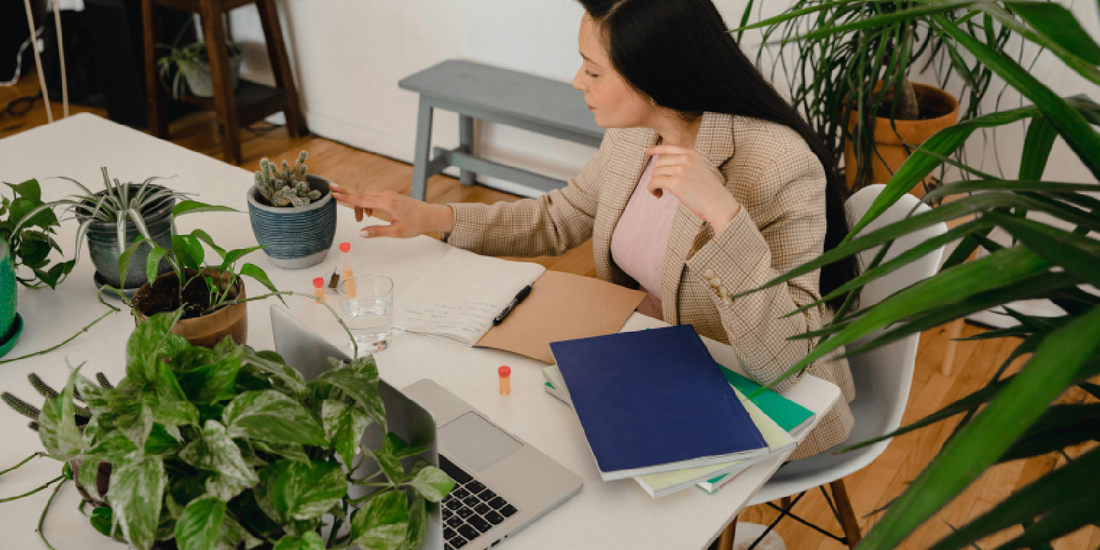 Troubleshooting Common Shelf Plant Issues