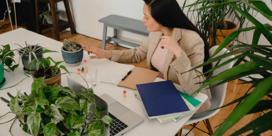 Troubleshooting Common Shelf Plant Issues