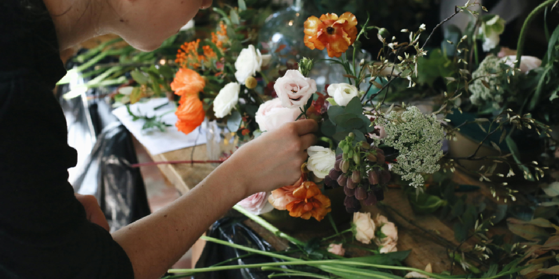 Using Plants as Natural Room Dividers