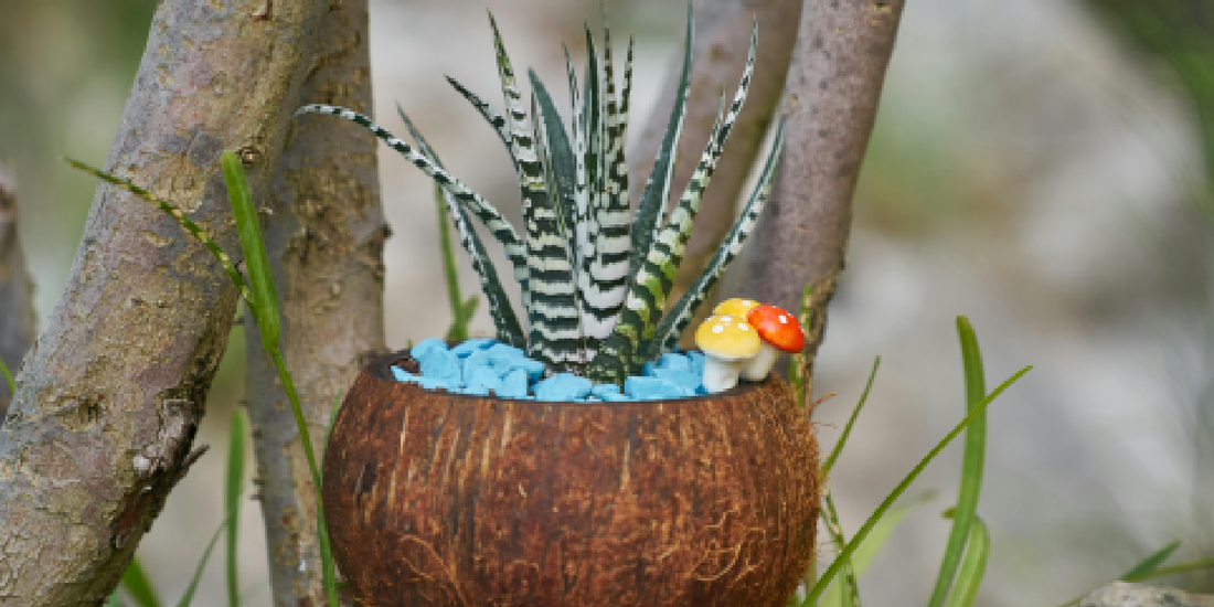 Wellness Is Quiet: Why Health-Conscious People Are Redesigning Their Homes