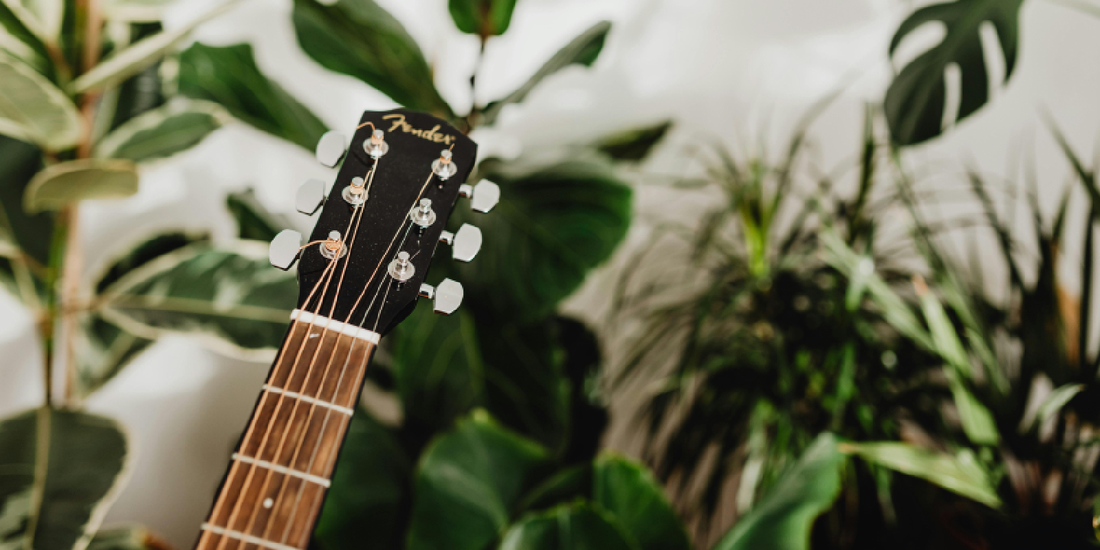 Why a Companion Gift Works Better Than Any Trend