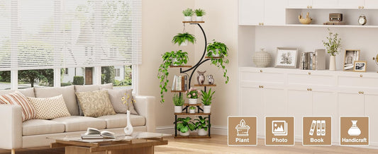 How to Set Up an Indoor Garden in a Corner Space