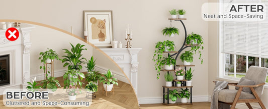 The Ultimate Guide to Indoor Plant Care for Beginners