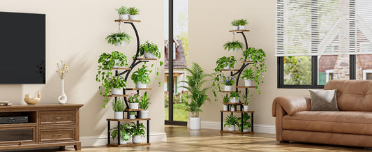 5 Common Indoor Gardening Mistakes and How to Fix Them