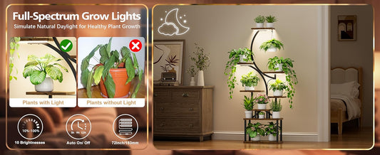 Can You Grow a Jungle Indoors? Here’s How